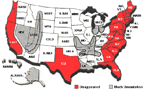 Allen's USA Map